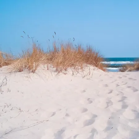 公寓 Fische - Sellin (Rugen)