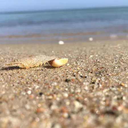 Fische - 公寓 Sellin (Rugen)